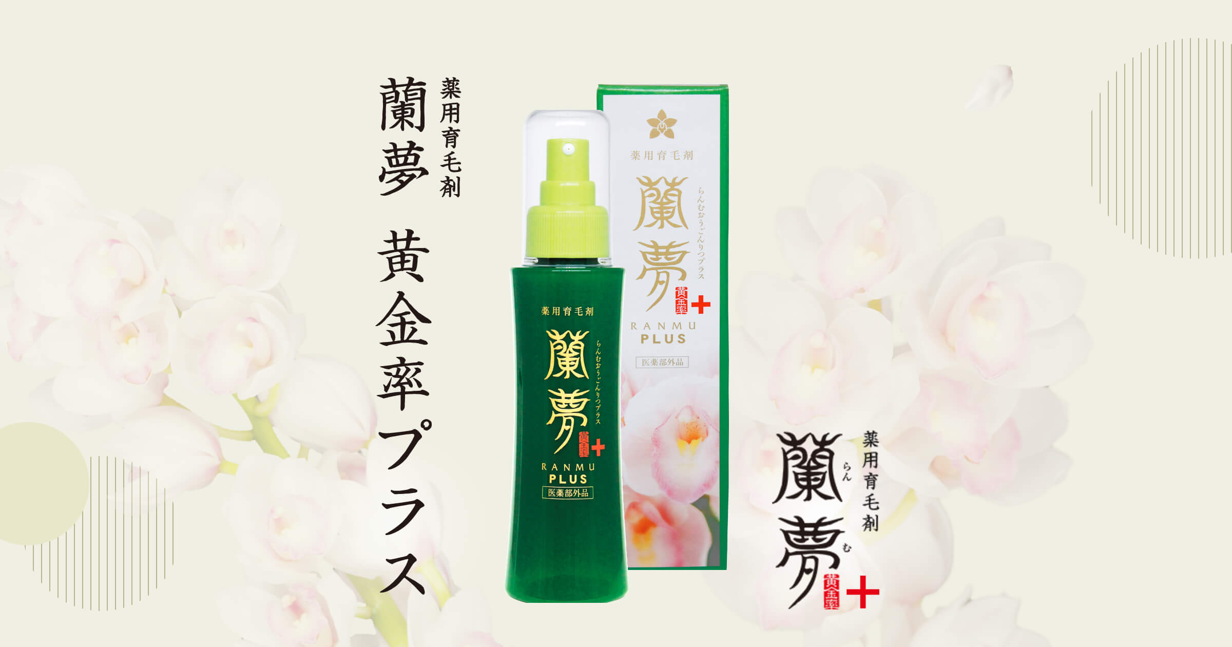 グランドセール 薬用育毛剤 蘭夢 プッシュタイプ 100ml 2本セット 