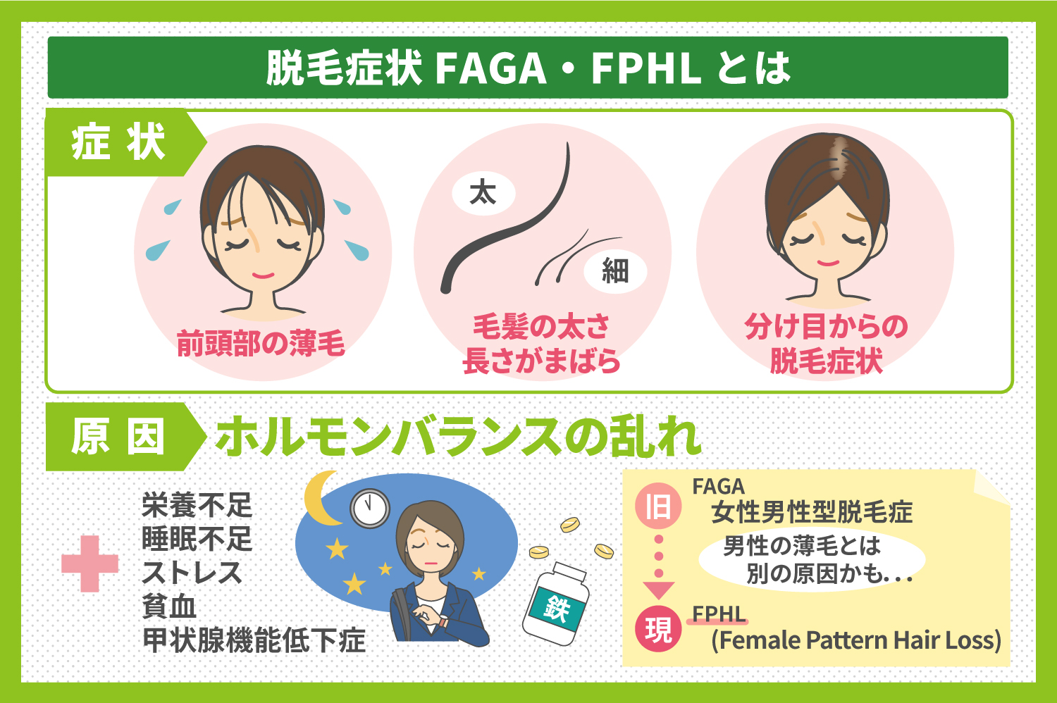 女性の薄毛（FAGA・FPHL)とは？