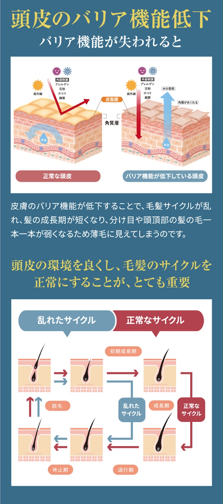 頭皮バリア機能の低下